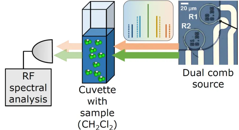 Silent Interference: How Optical Crosstalk Threatens the Promise of Dense Silicon Photonics
